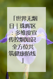 世界无烟日｜珠晖区：多维度宣传控烟知识 全方位共筑健康防线