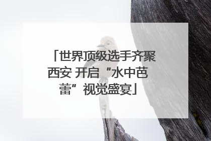 世界顶级选手齐聚西安 开启“水中芭蕾”视觉盛宴