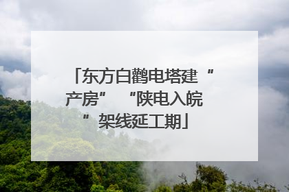 东方白鹳电塔建“产房” “陕电入皖”架线延工期