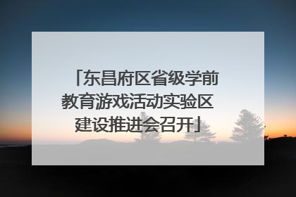 东昌府区省级学前教育游戏活动实验区建设推进会召开