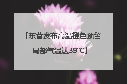 东营发布高温橙色预警 局部气温达39℃