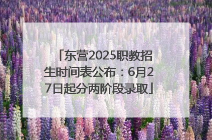 东营2025职教招生时间表公布：6月27日起分两阶段录取
