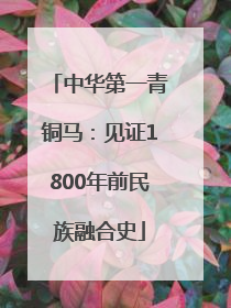 中华第一青铜马：见证1800年前民族融合史