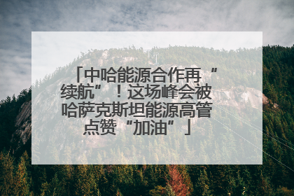 中哈能源合作再“续航”！这场峰会被哈萨克斯坦能源高管点赞“加油”