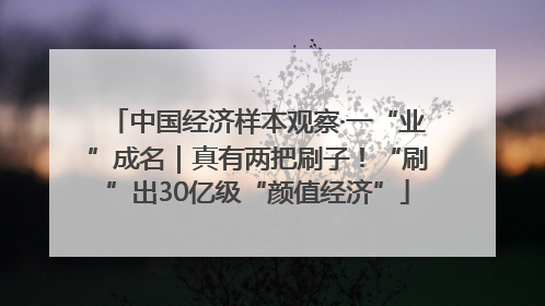 中国经济样本观察·一“业”成名｜真有两把刷子！“刷”出30亿级“颜值经济”