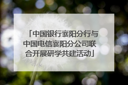 中国银行襄阳分行与中国电信襄阳分公司联合开展研学共建活动