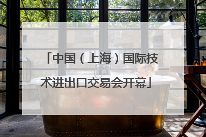 中国（上海）国际技术进出口交易会开幕