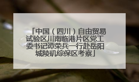 中国（四川）自由贸易试验区川南临港片区党工委书记谭荣兵一行赴岳阳城陵矶综保区考察