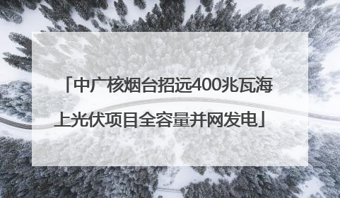 中广核烟台招远400兆瓦海上光伏项目全容量并网发电