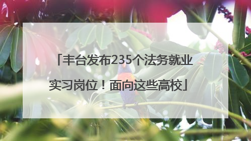 丰台发布235个法务就业实习岗位！面向这些高校