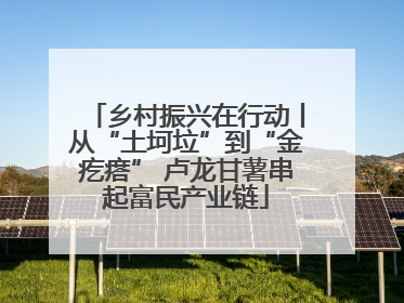 乡村振兴在行动丨从“土坷垃”到“金疙瘩” 卢龙甘薯串起富民产业链