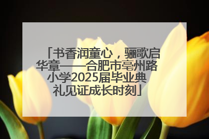 书香润童心，骊歌启华章——合肥市亳州路小学2025届毕业典礼见证成长时刻
