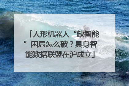 人形机器人“缺智能”困局怎么破？具身智能数据联盟在沪成立