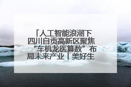 人工智能浪潮下 四川自贡高新区聚焦“车机龙医算数”布局未来产业丨美好生活有“盐”味