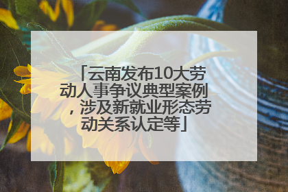 云南发布10大劳动人事争议典型案例，涉及新就业形态劳动关系认定等