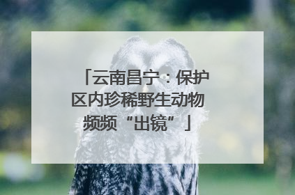 云南昌宁：保护区内珍稀野生动物频频“出镜”