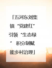 五河东刘集镇“党建红”引领“生态绿” 积分制赋能乡村治理