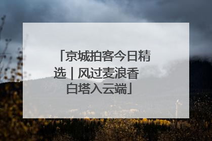京城拍客今日精选｜风过麦浪香 白塔入云端
