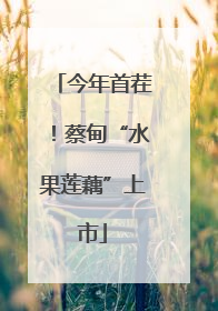 今年首茬！蔡甸“水果莲藕”上市