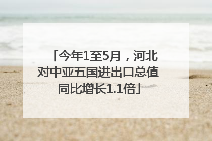 今年1至5月，河北对中亚五国进出口总值同比增长1.1倍