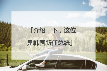 介绍一下，这位是韩国新任总统