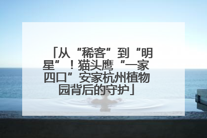 从“稀客”到“明星”！猫头鹰“一家四口”安家杭州植物园背后的守护