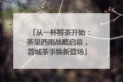 从一杯鲜茶开始：茶巢西南战略启幕，蓉城茶事焕新登场