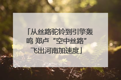 从丝路驼铃到引擎轰鸣 郑卢“空中丝路”飞出河南加速度