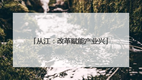 从江：改革赋能产业兴