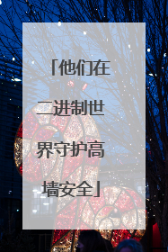 他们在二进制世界守护高墙安全