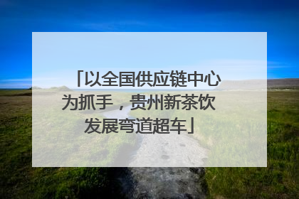 以全国供应链中心为抓手，贵州新茶饮发展弯道超车