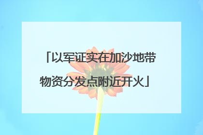 以军证实在加沙地带物资分发点附近开火
