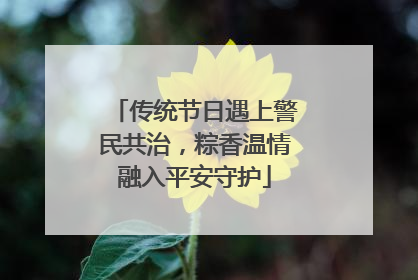 传统节日遇上警民共治，粽香温情融入平安守护