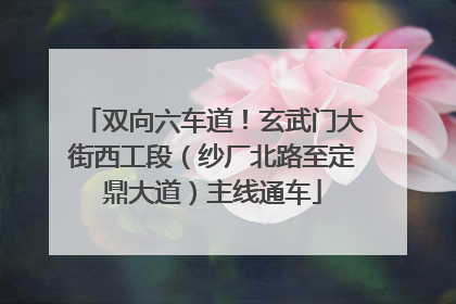 双向六车道！玄武门大街西工段（纱厂北路至定鼎大道）主线通车