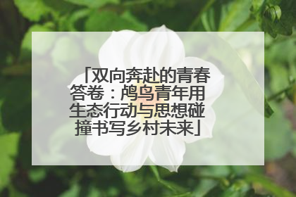 双向奔赴的青春答卷：鸬鸟青年用生态行动与思想碰撞书写乡村未来