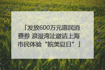 发放600万元惠民消费券 浪漫湾沚邀请上海市民体验“皖美夏日”