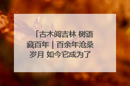 古木阅吉林 树语藏百年｜百余年沧桑岁月 如今它成为了“镇园之宝”