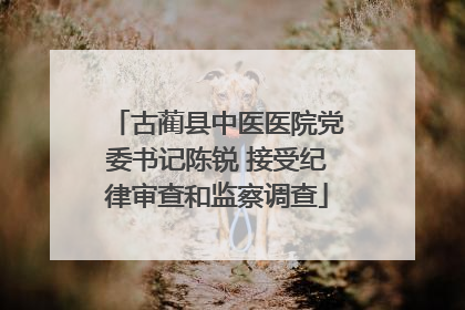 古蔺县中医医院党委书记陈锐 接受纪律审查和监察调查