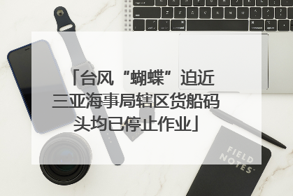 台风“蝴蝶”迫近 三亚海事局辖区货船码头均已停止作业