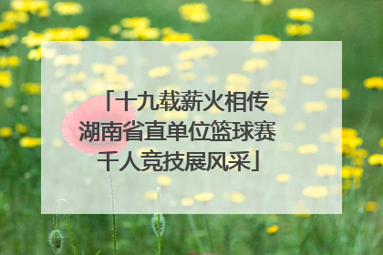 十九载薪火相传 湖南省直单位篮球赛千人竞技展风采