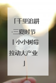千里追耕·三夏时节丨小小树莓拉动大产业