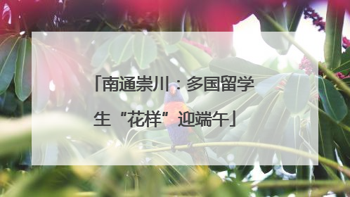 南通崇川：多国留学生“花样”迎端午