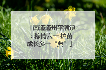 南通通州平潮镇：粽情六一 护苗成长多一“典”