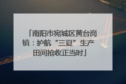 南阳市宛城区黄台岗镇：护航“三夏”生产 田间抢收正当时
