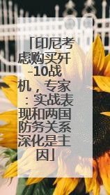 印尼考虑购买歼-10战机，专家：实战表现和两国防务关系深化是主因