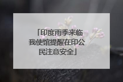印度雨季来临 我使馆提醒在印公民注意安全