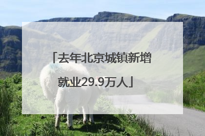 去年北京城镇新增就业29.9万人