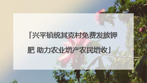 兴平镇统其克村免费发放钾肥 助力农业增产农民增收