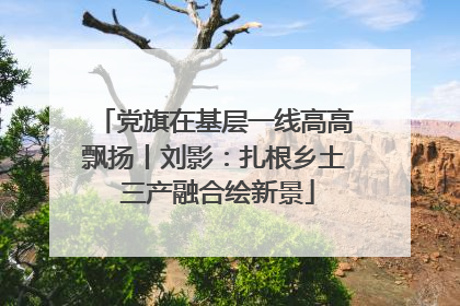 党旗在基层一线高高飘扬丨刘影：扎根乡土 三产融合绘新景