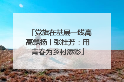 党旗在基层一线高高飘扬丨张桂芳：用青春为乡村添彩
